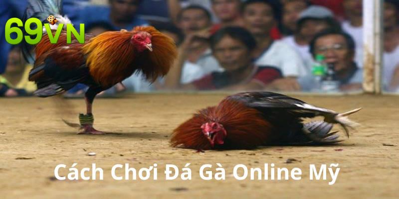 Cách chơi đá gà online cựa Mỹ lôi cuốn