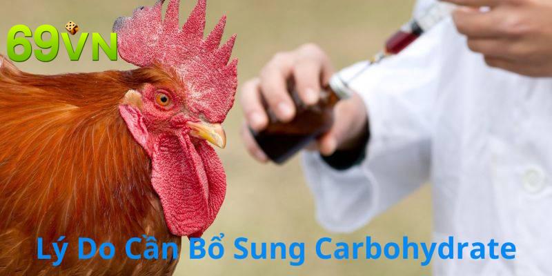 Tại sao cần bổ sung hàm lượng Carbohydrate