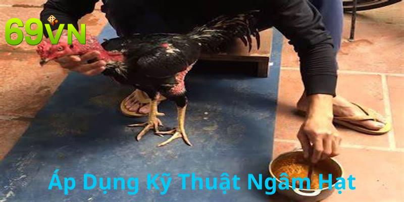 Ngâm hạt là phương thức nuôi dưỡng có hiệu quả cao